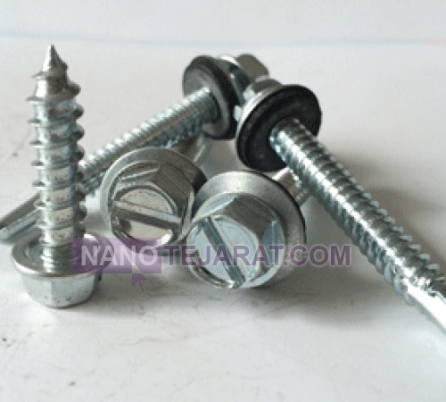 Roof Screw